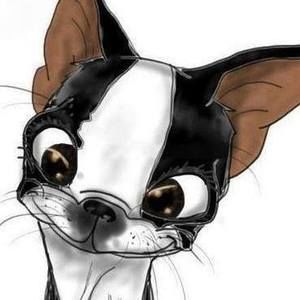 Meet your Posher, Joni